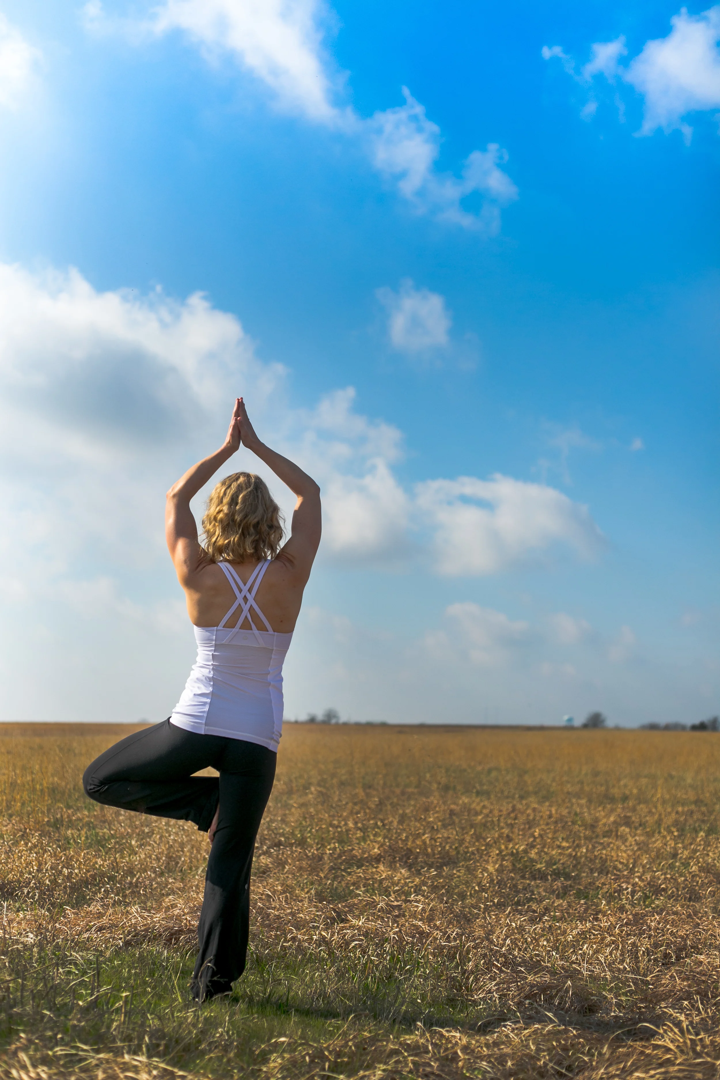 Kriya Yoga – Part II