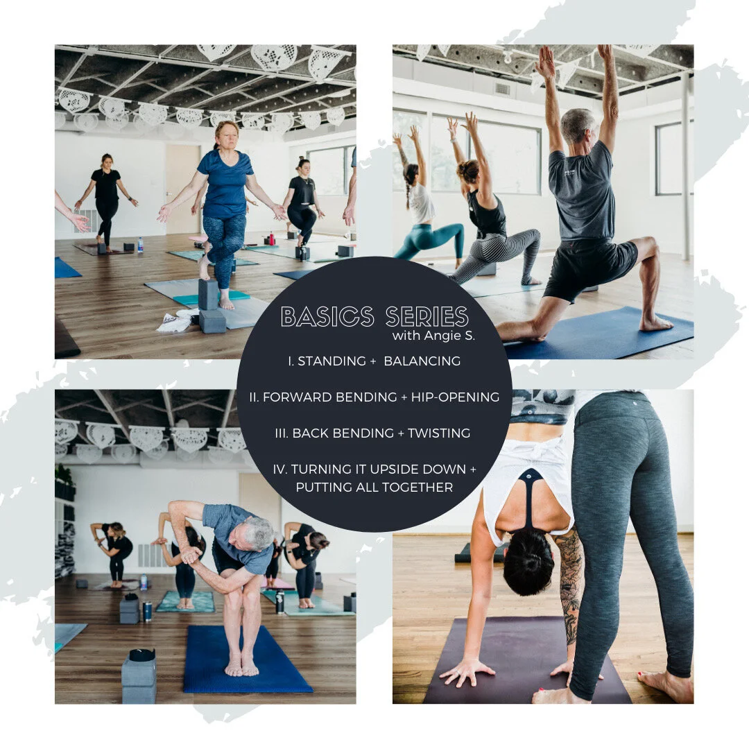 4-Part Basic Series Workshop