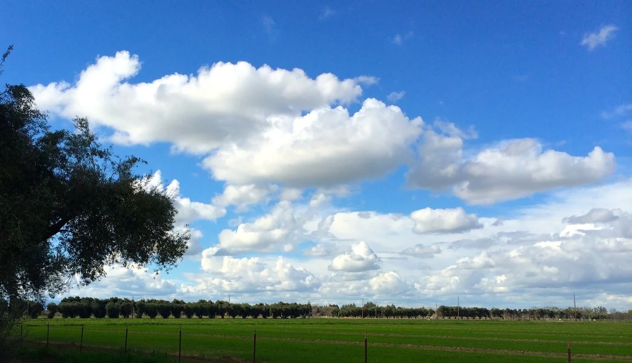 big sky over field.jpg