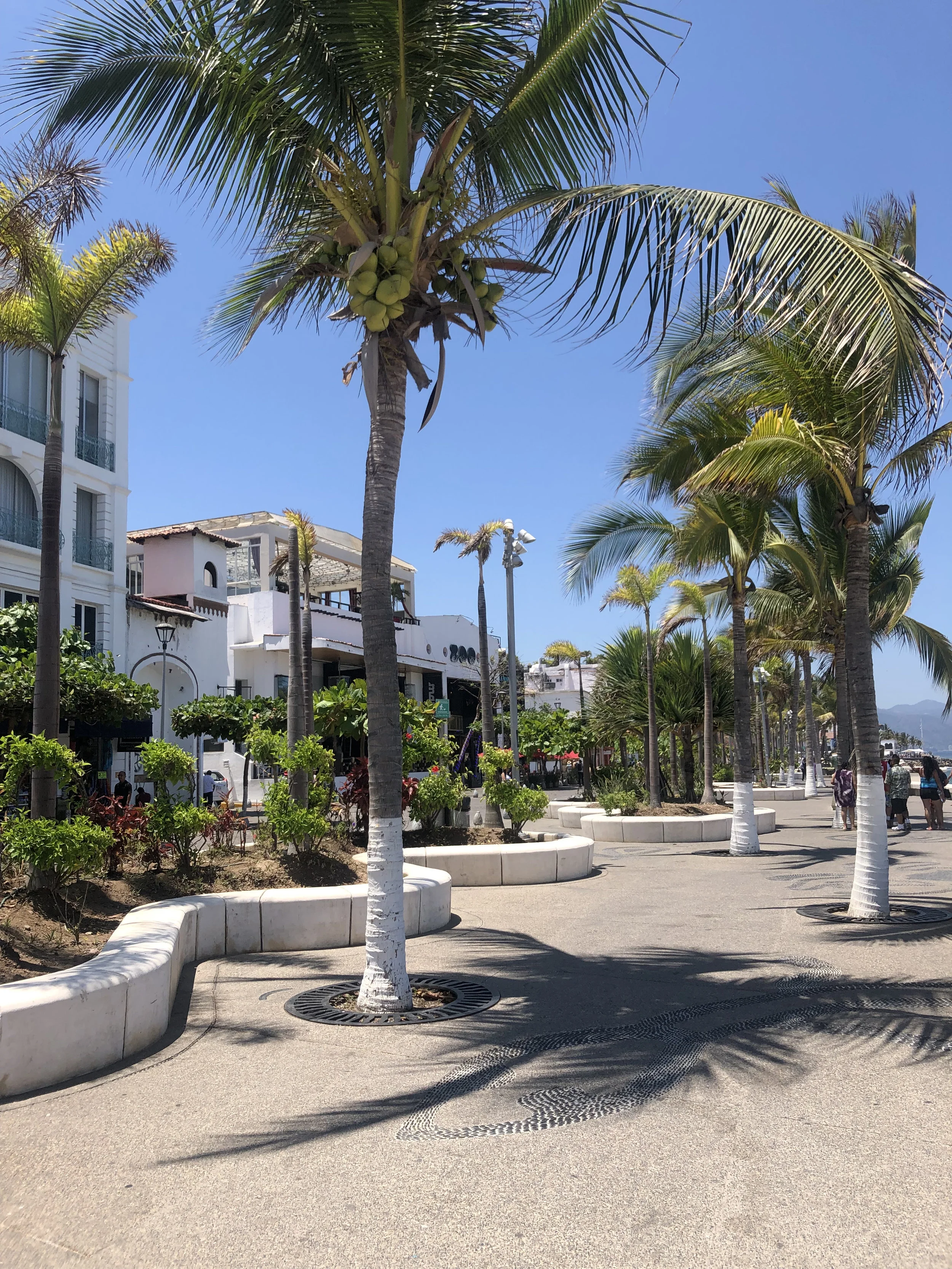 Photo: Malecon Puerto Vallarta