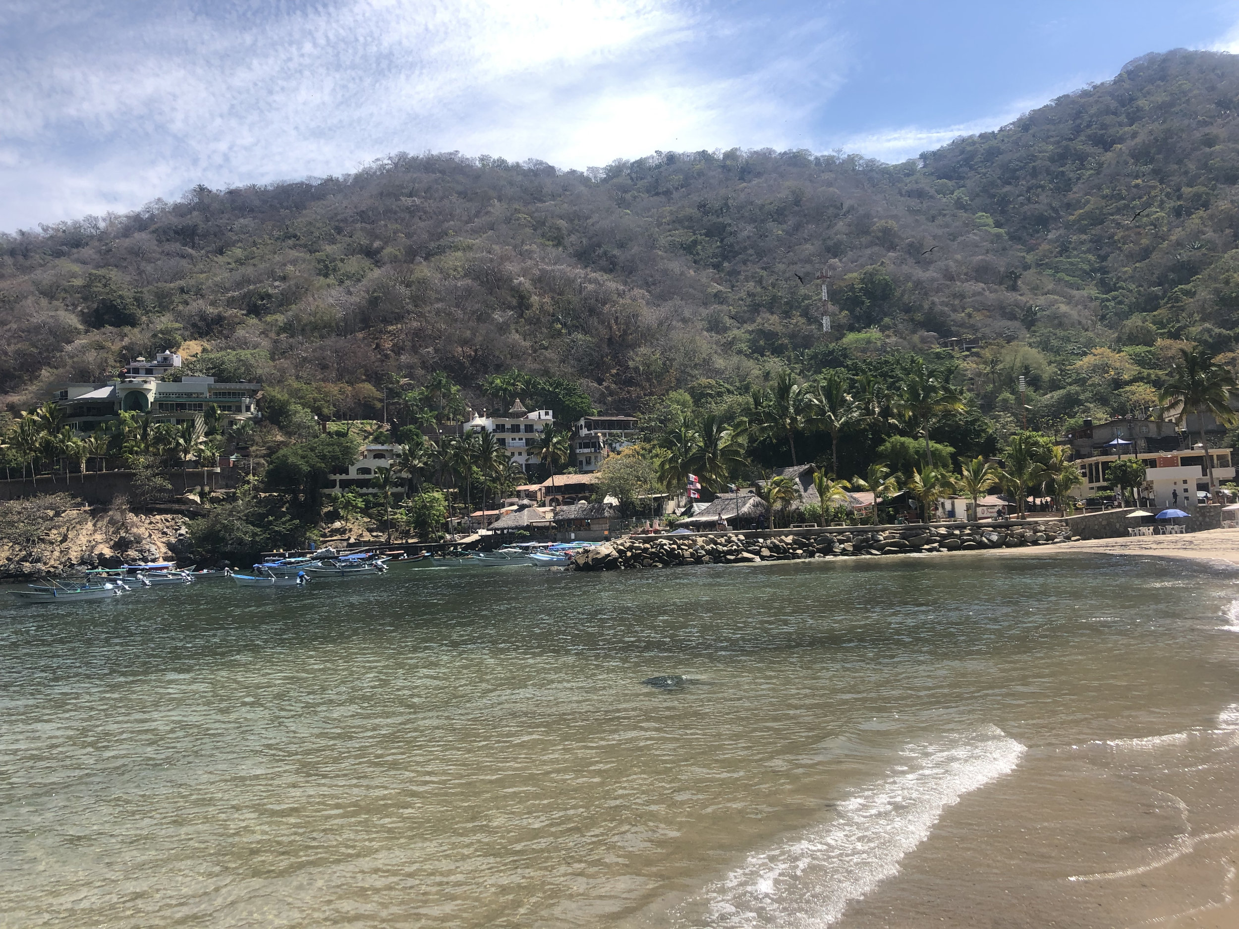 boca hike to colomitos beach.jpeg