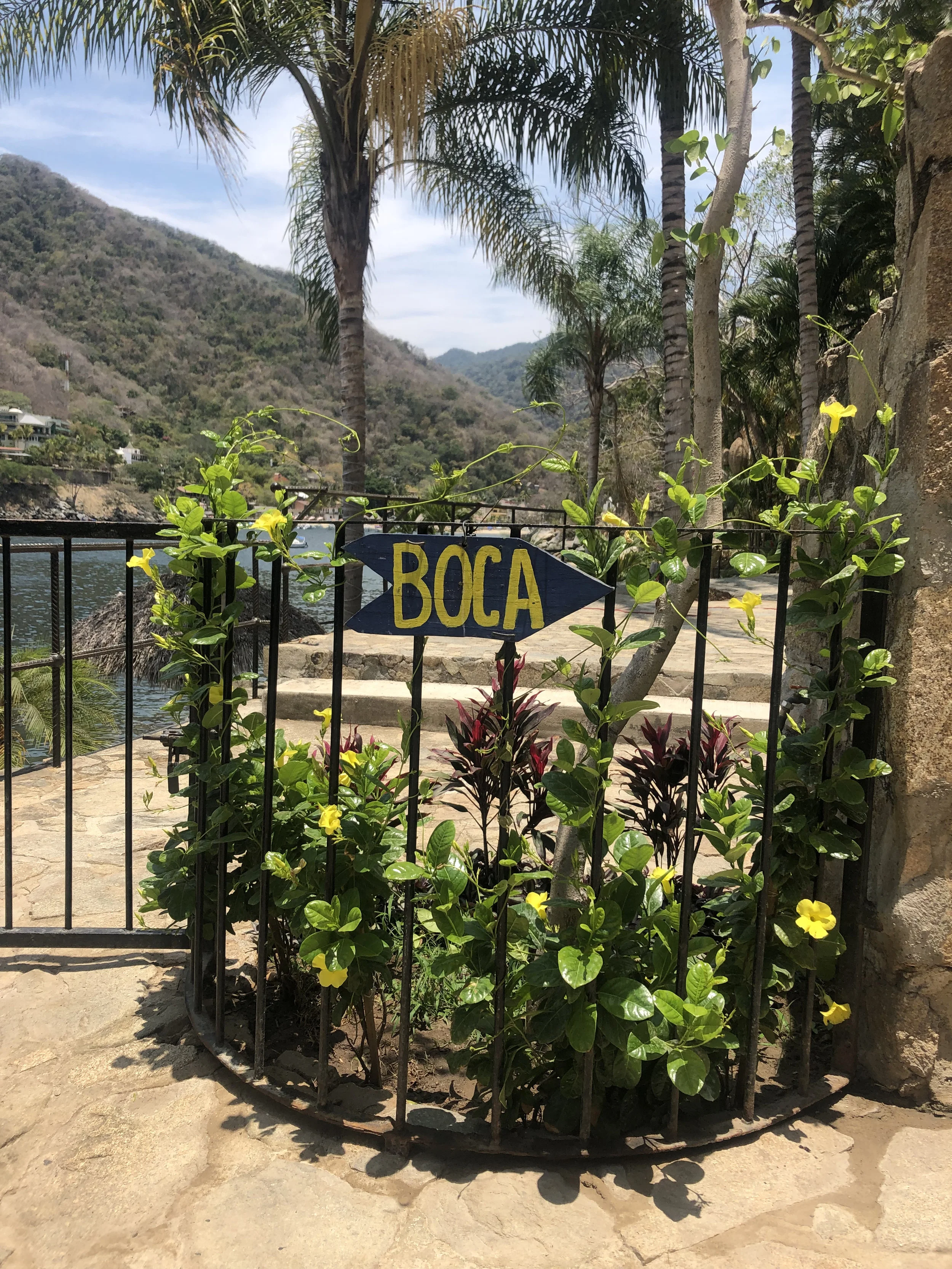 Boca Tomatlan Puerto Vallarta.jpeg
