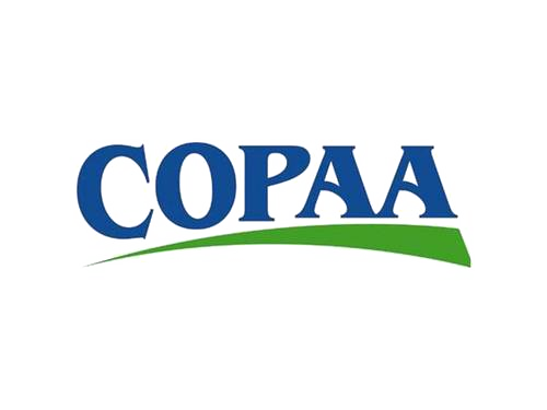 special education lawyers copaa