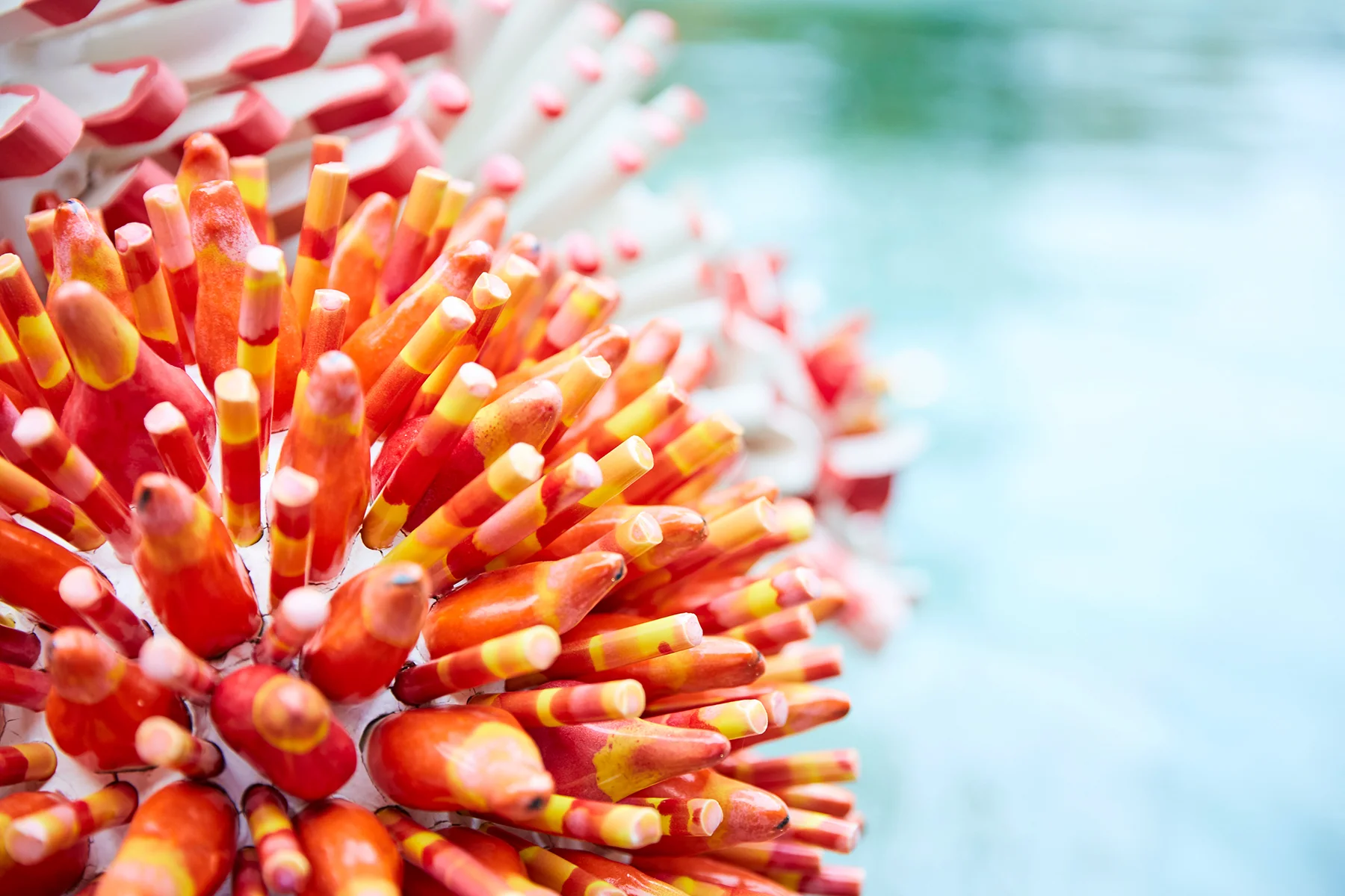 Maldives_Zemer_Peled_22A2179-for-web.jpg