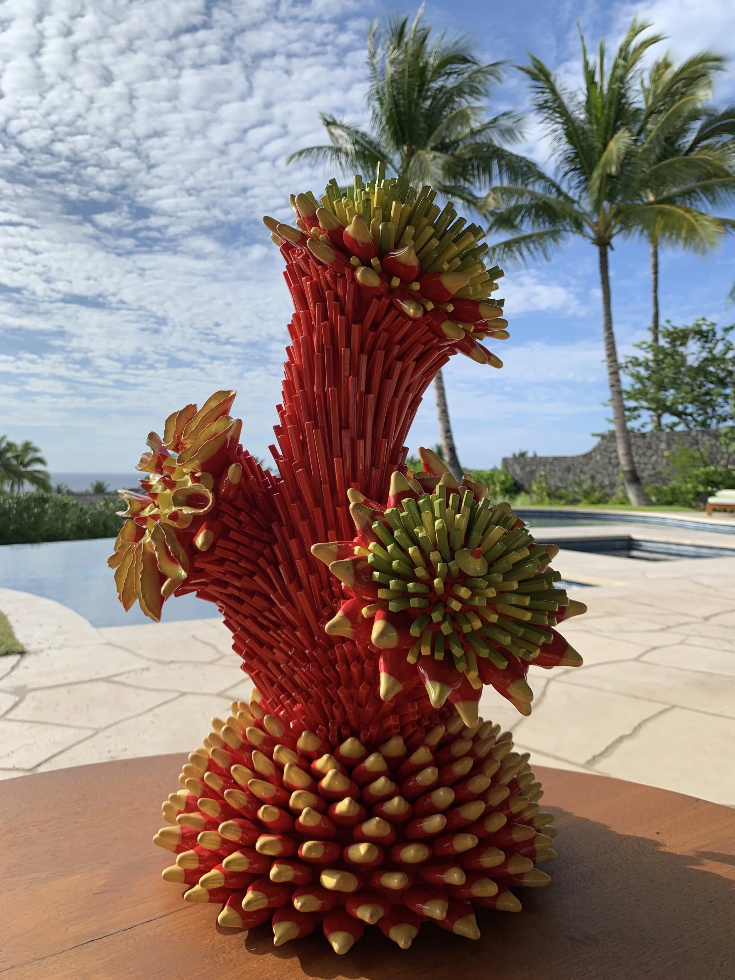 ZEMER PELED Portfolio