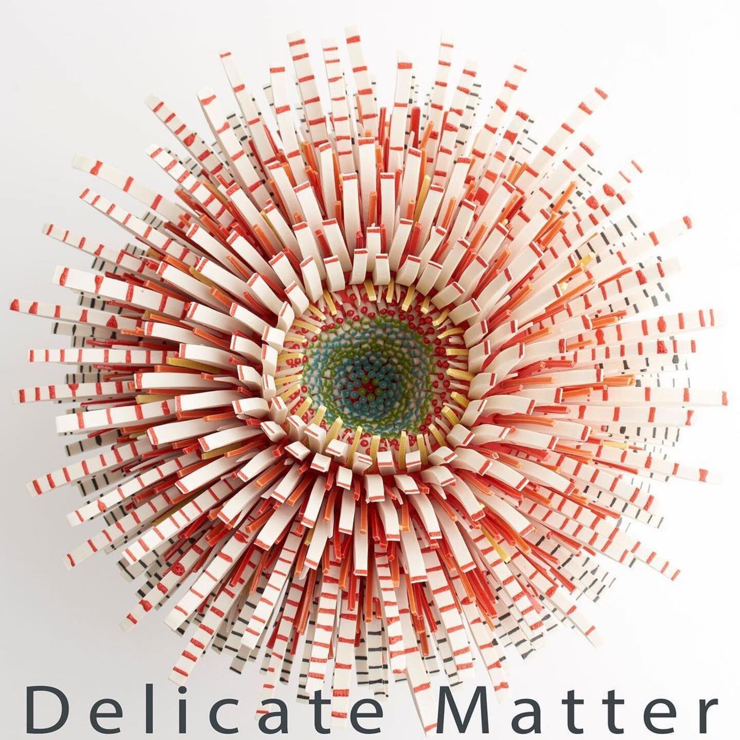 #Repost @lindsaypichaske
・・・
Delicate Matter opens tonight at virtual @nceca! 

If you&rsquo;re attending the conference be sure to check it out! 

Join us for the virtual opening Thursday March 18th at 8pm EST (zoom link in bio)

@zemerpeled @janice