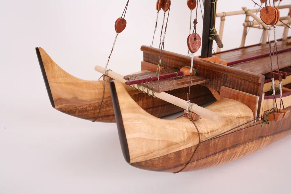Hawaiian canoes by Francis Pimmel — HAWAIIAN CANOES