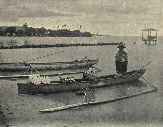  Tahitian fishing canoe. View in front of the Clement Lindley Wragg's bungalow, Patutoa, Tahiti 