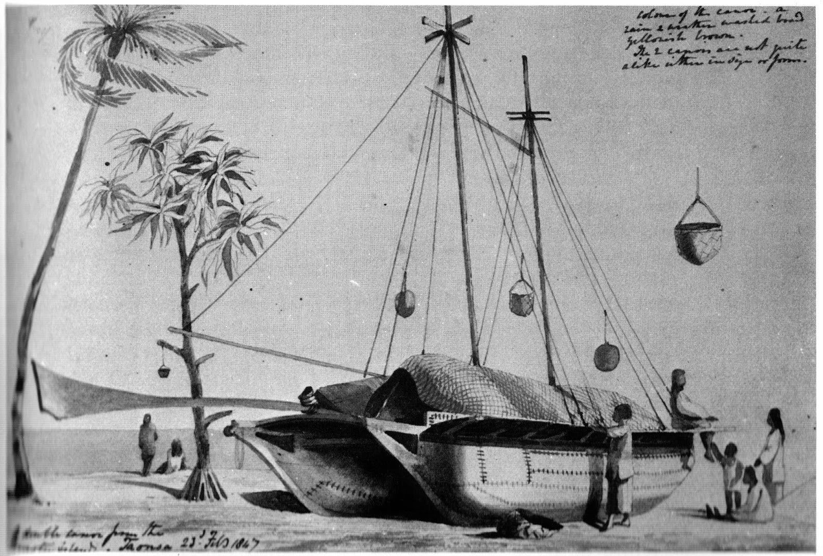 Tuamotu canoe , by Capt. Henry Byam Martin.