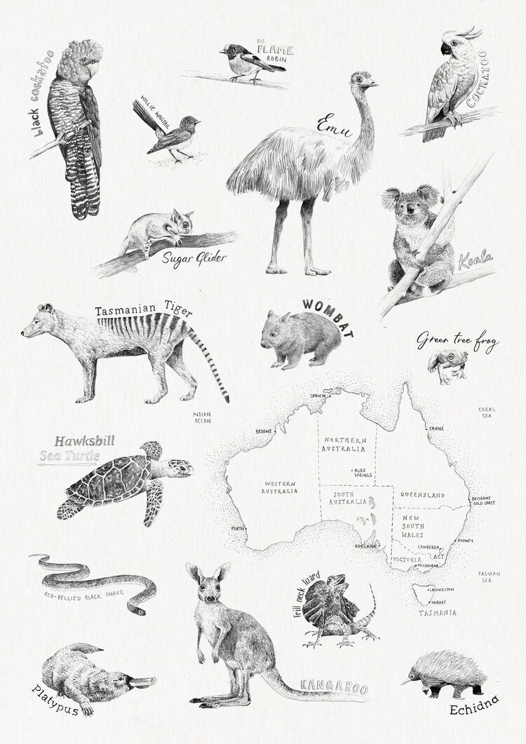 A3 Art Print – Australian Animals Tapestry Illustration — Peita Blythe