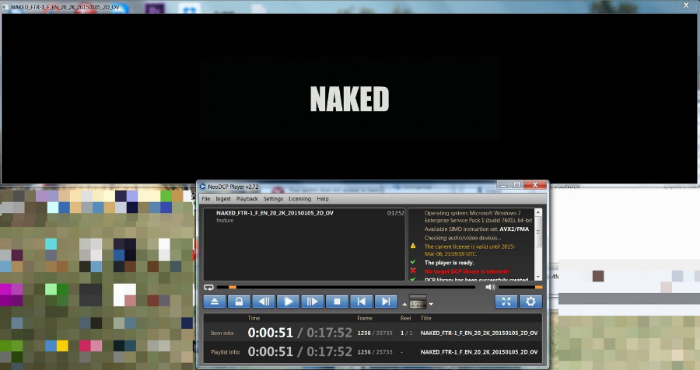 Sample Screenshot of NeoDCP Player and Separate Control Panel