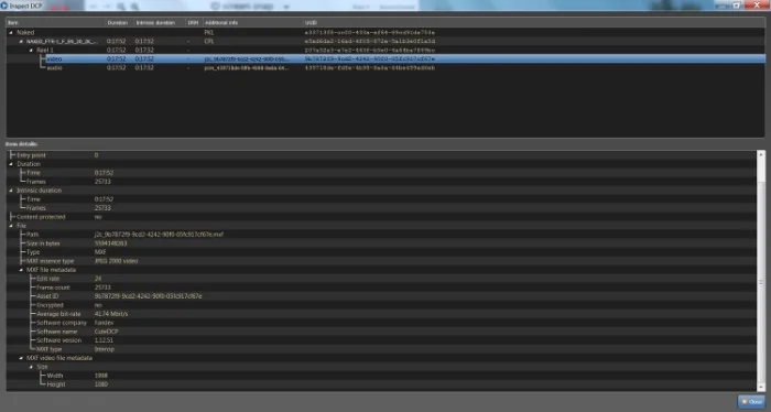 NeoDCP's Inspect DCP feature allows you to look deep inside a DCP.