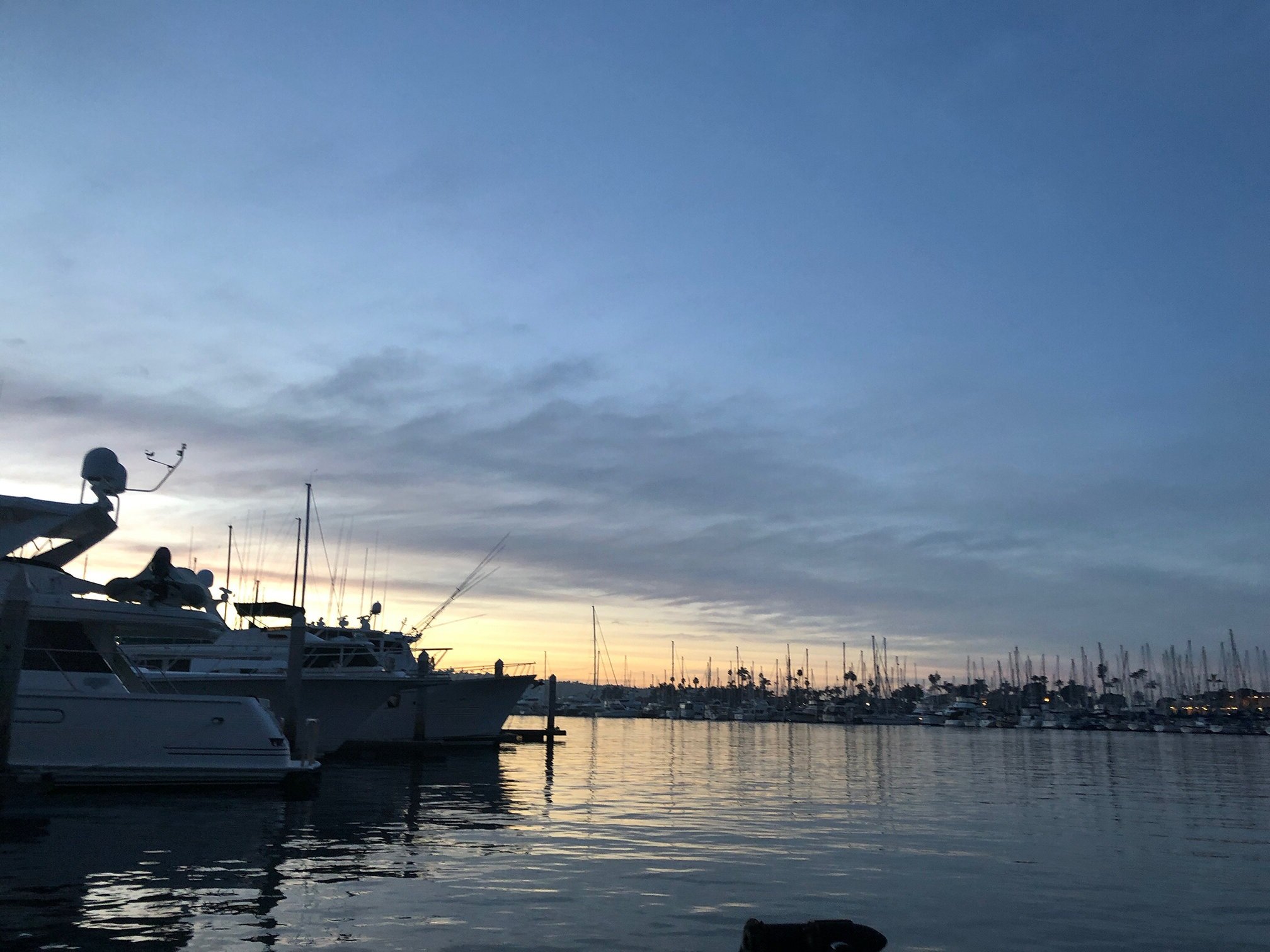 SDMarinaBoats.jpg