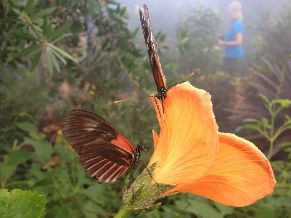  Affirmations on Transformation
