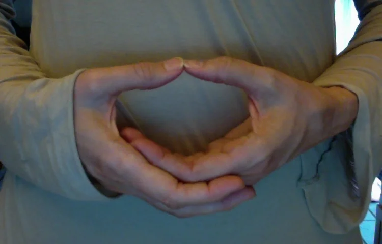 Dharmadhatu Mudra 