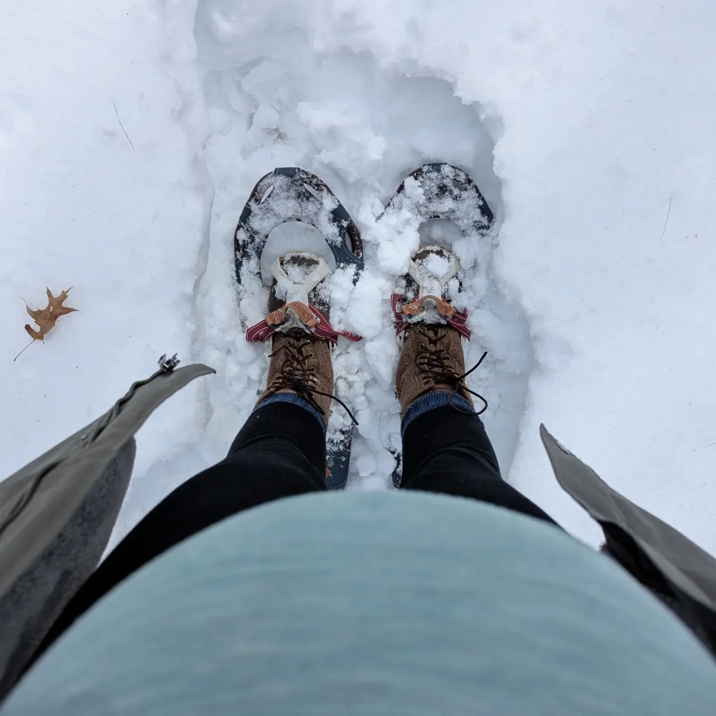 Just me and my 7 month pregnant belly attempting to snowshoe out to the greenhouse to start some seeds! We will be growing some veggies again this season despite baby boy #2 being due in early May. Not ideal timing for planting season, so bear with u