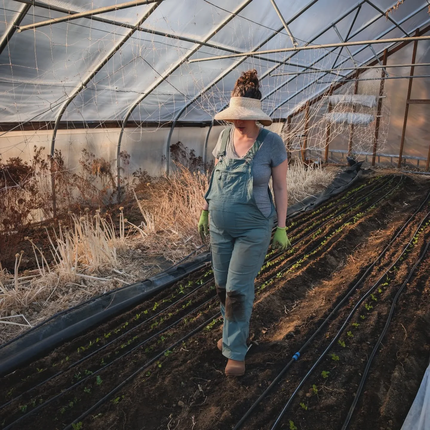Home stretch - thank goodness for overalls! 

Snap peas, turnips, radishes, lettuce, arugula and spring mix have all been planted in the high tunnel! Hope to be harvesting veggies again in May!