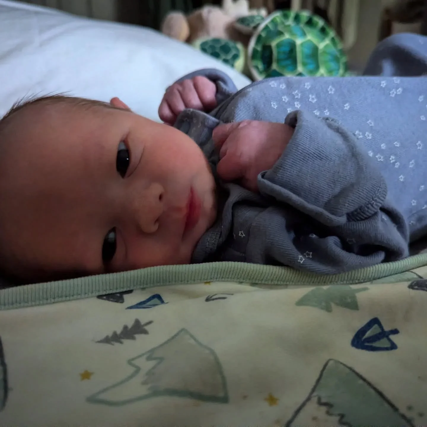 Baby boy Desmond was born on the morning of May 6!