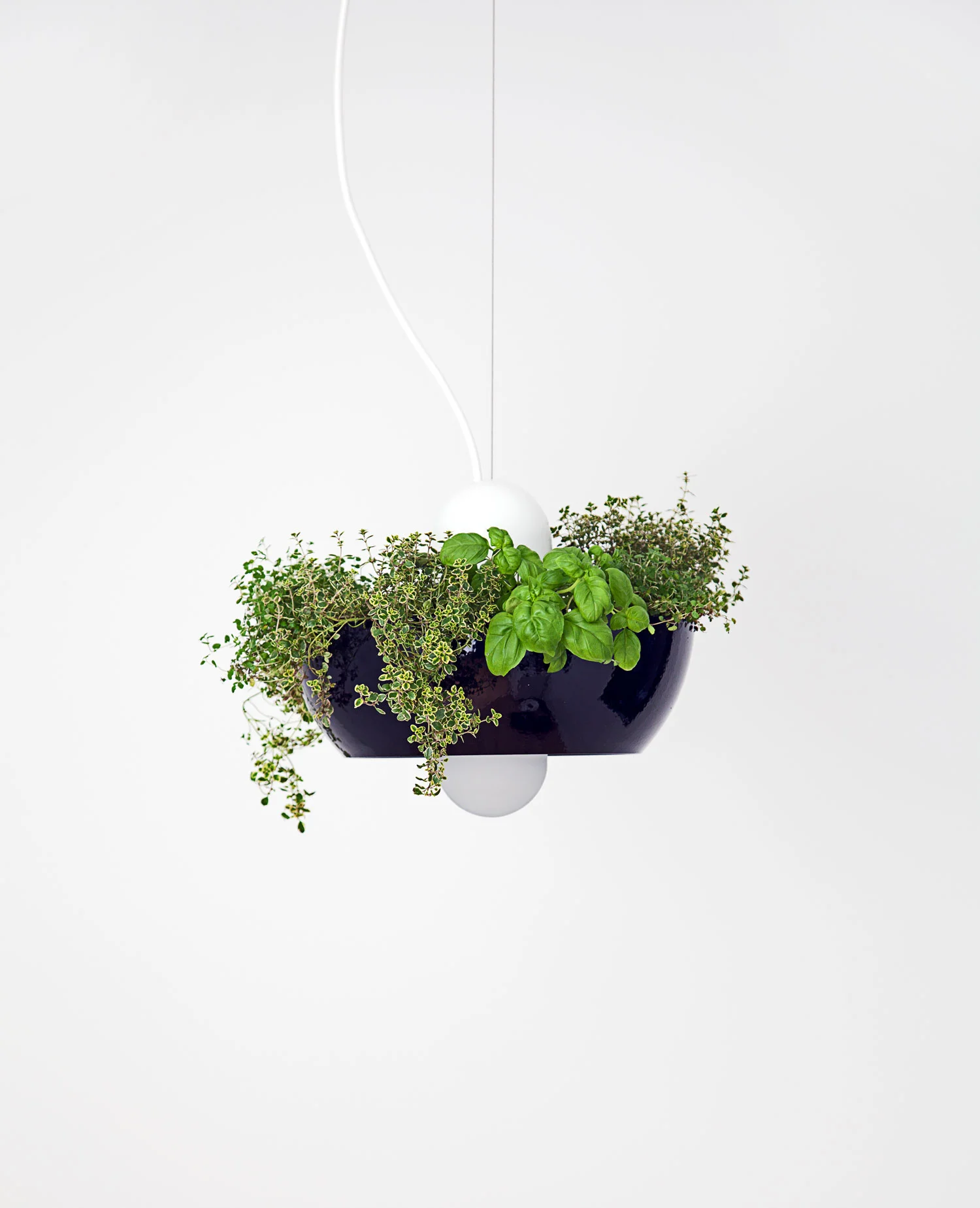Well Light Planter