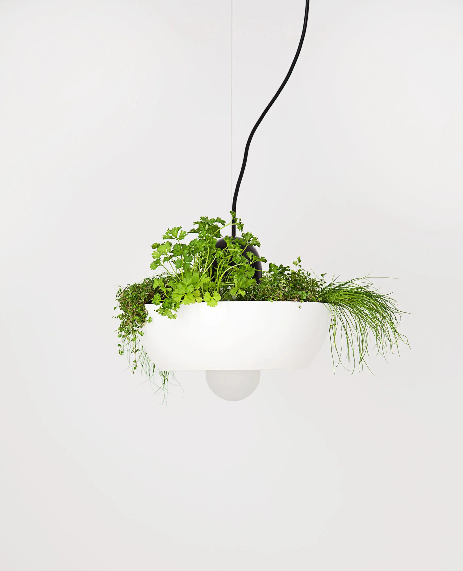 Well Light Planter