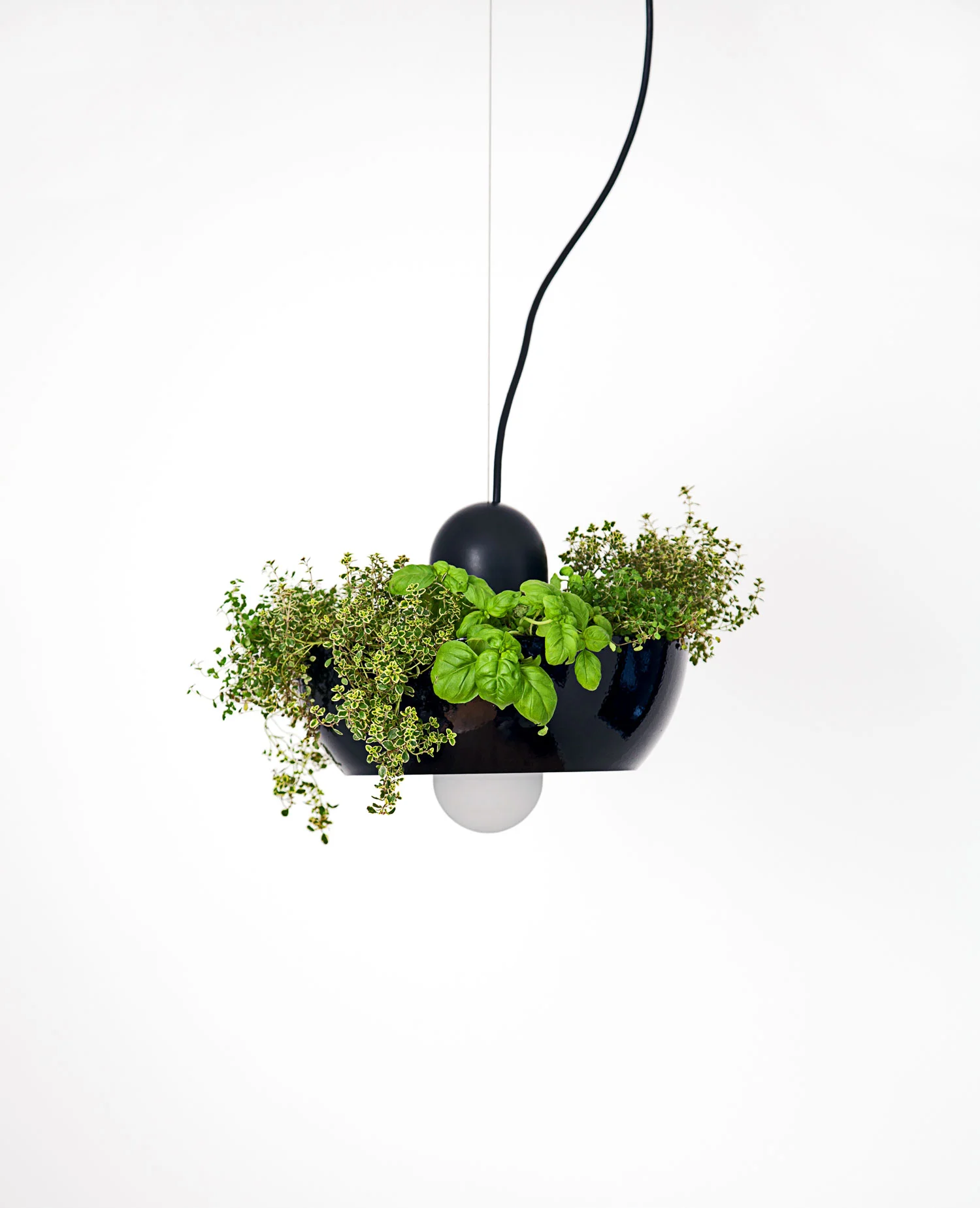 Well Light Planter
