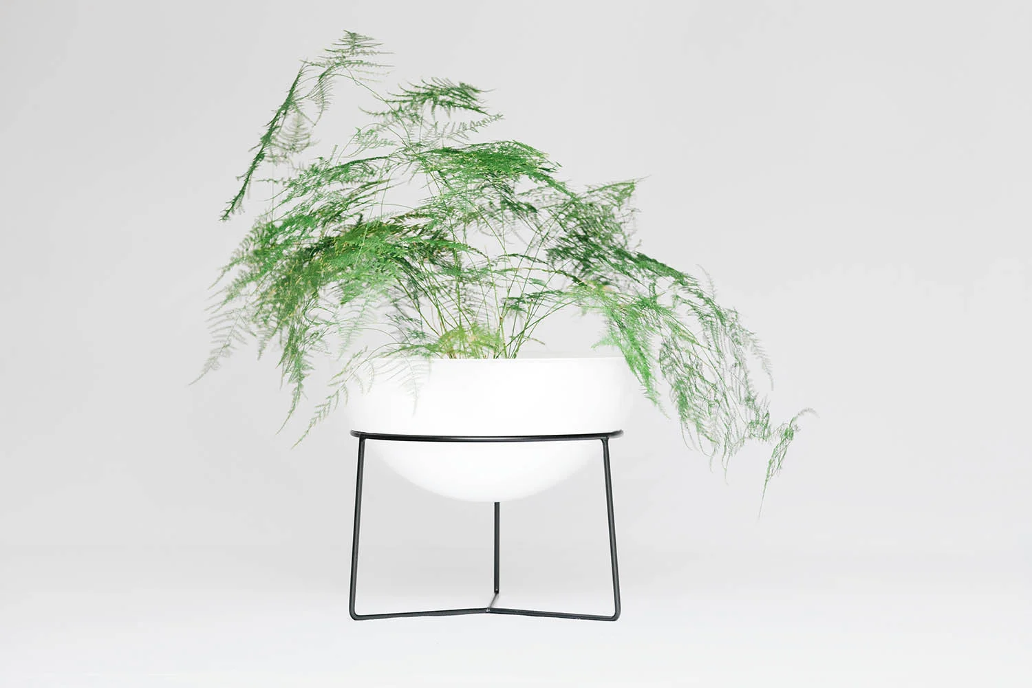 Everything Planter