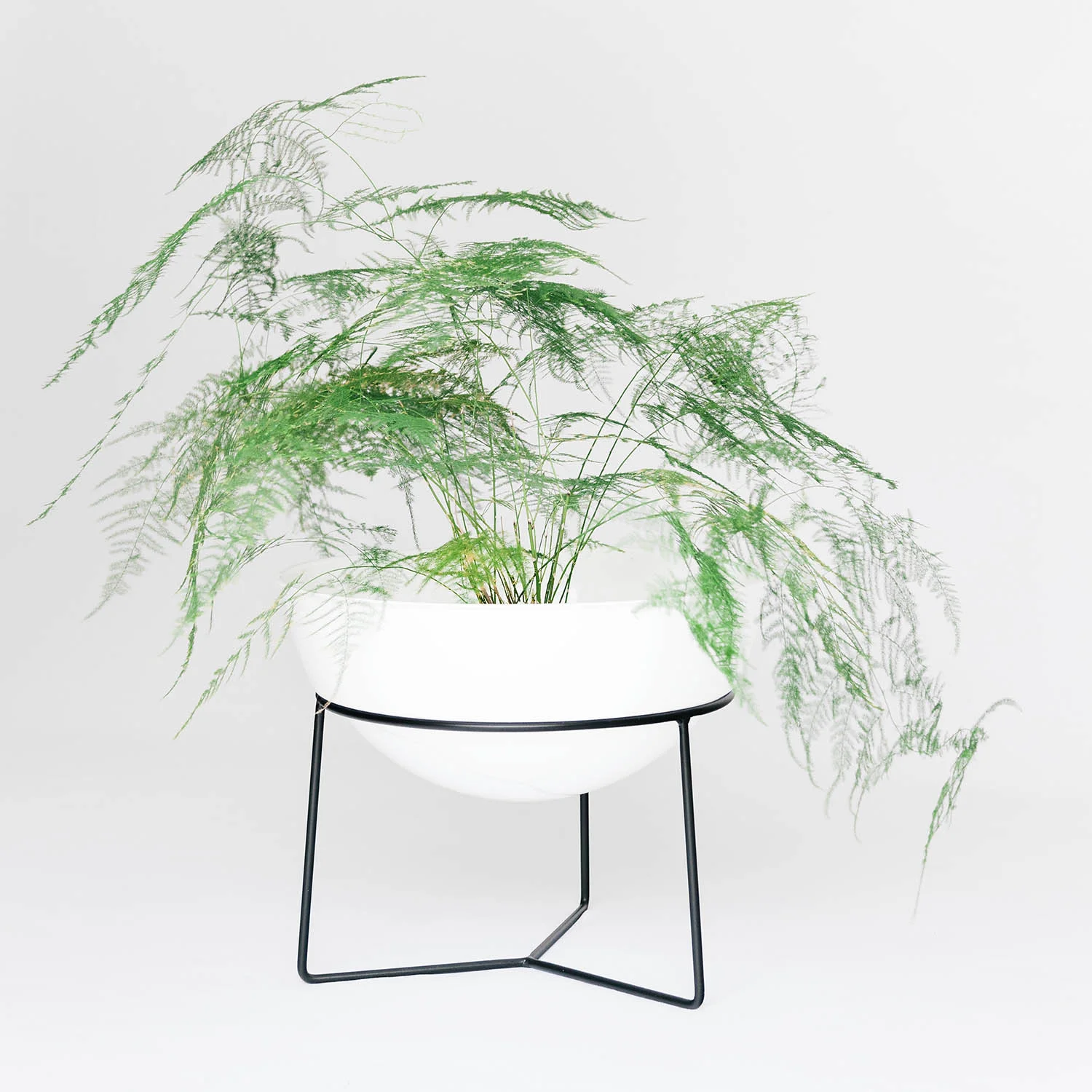 Everything Planter