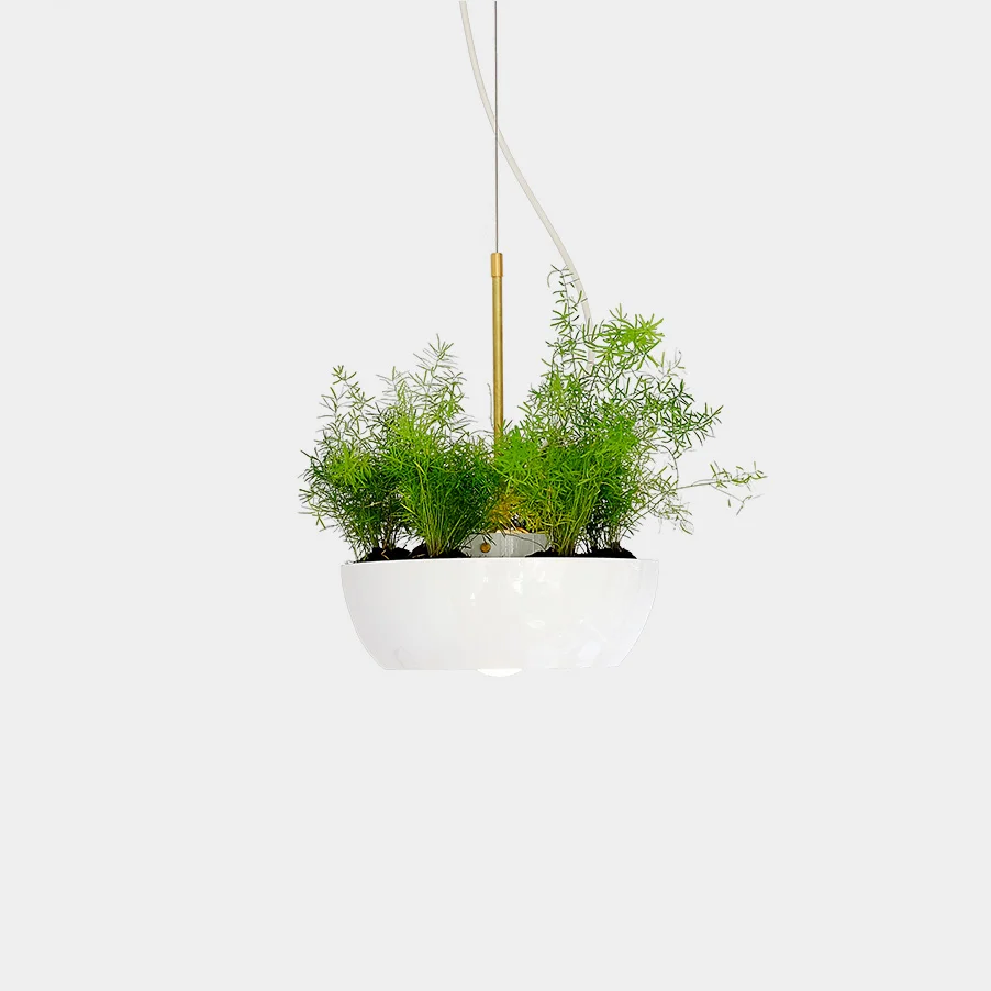 Well Planter Light