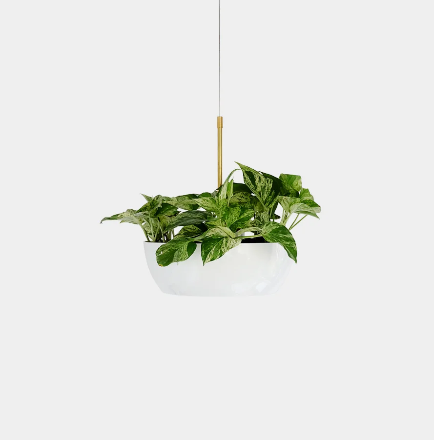 Well Planter