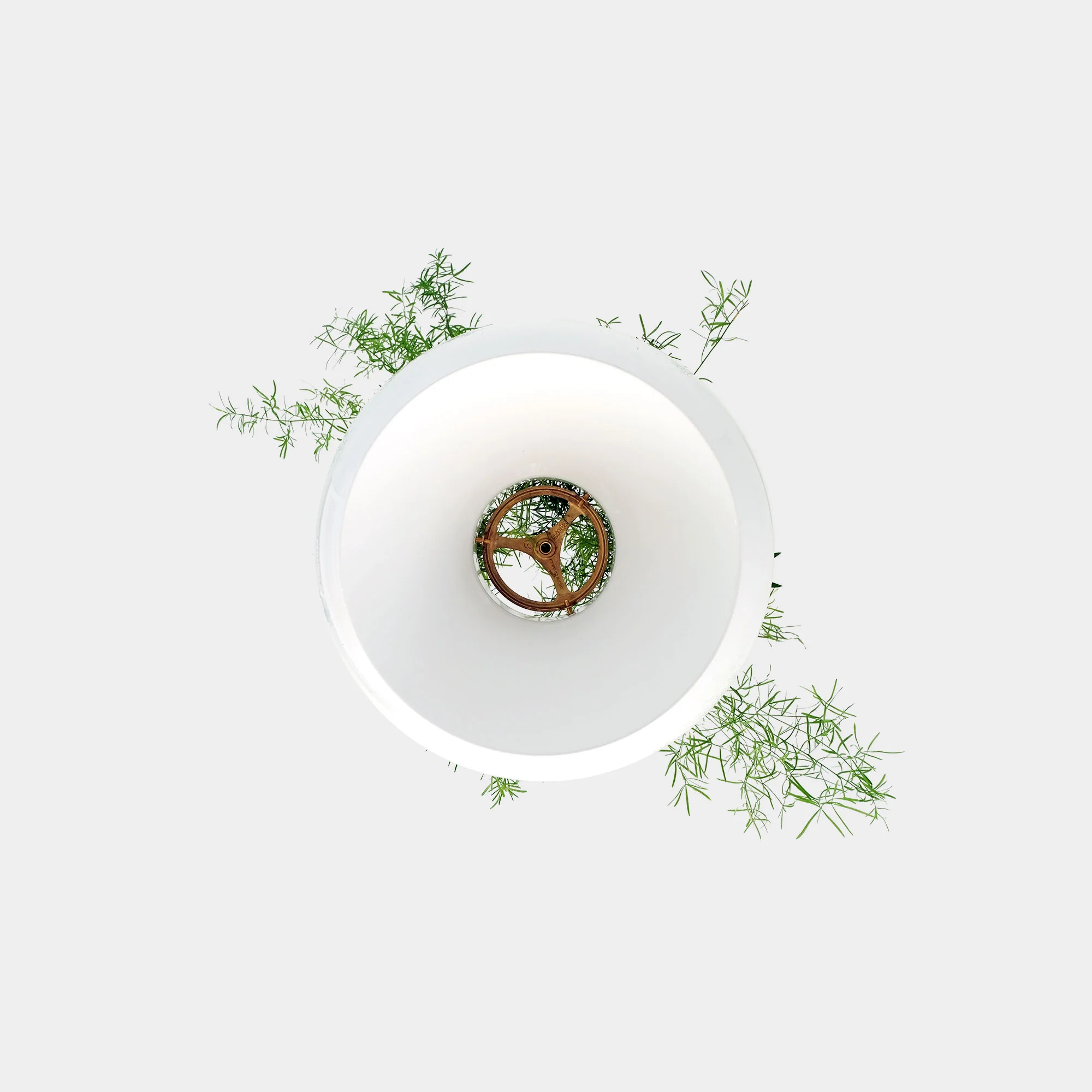 Well Planter