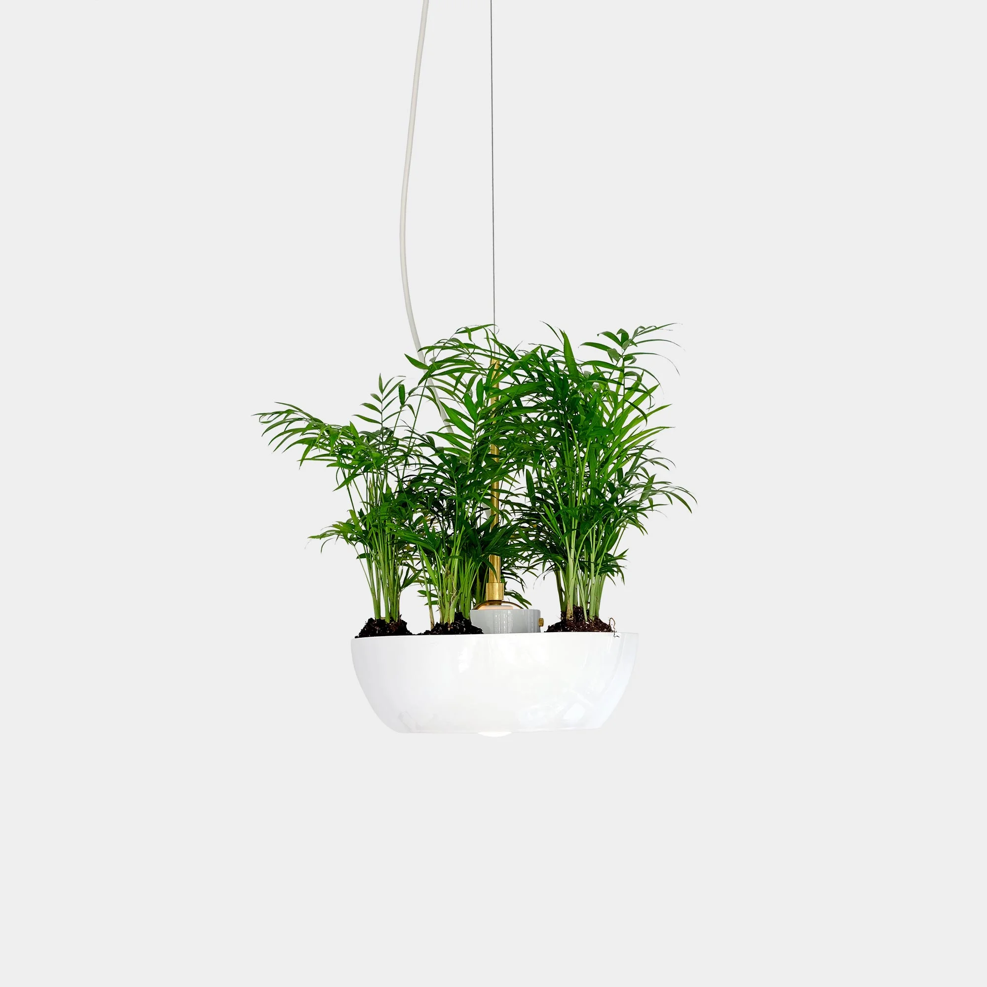 Well Planter Light