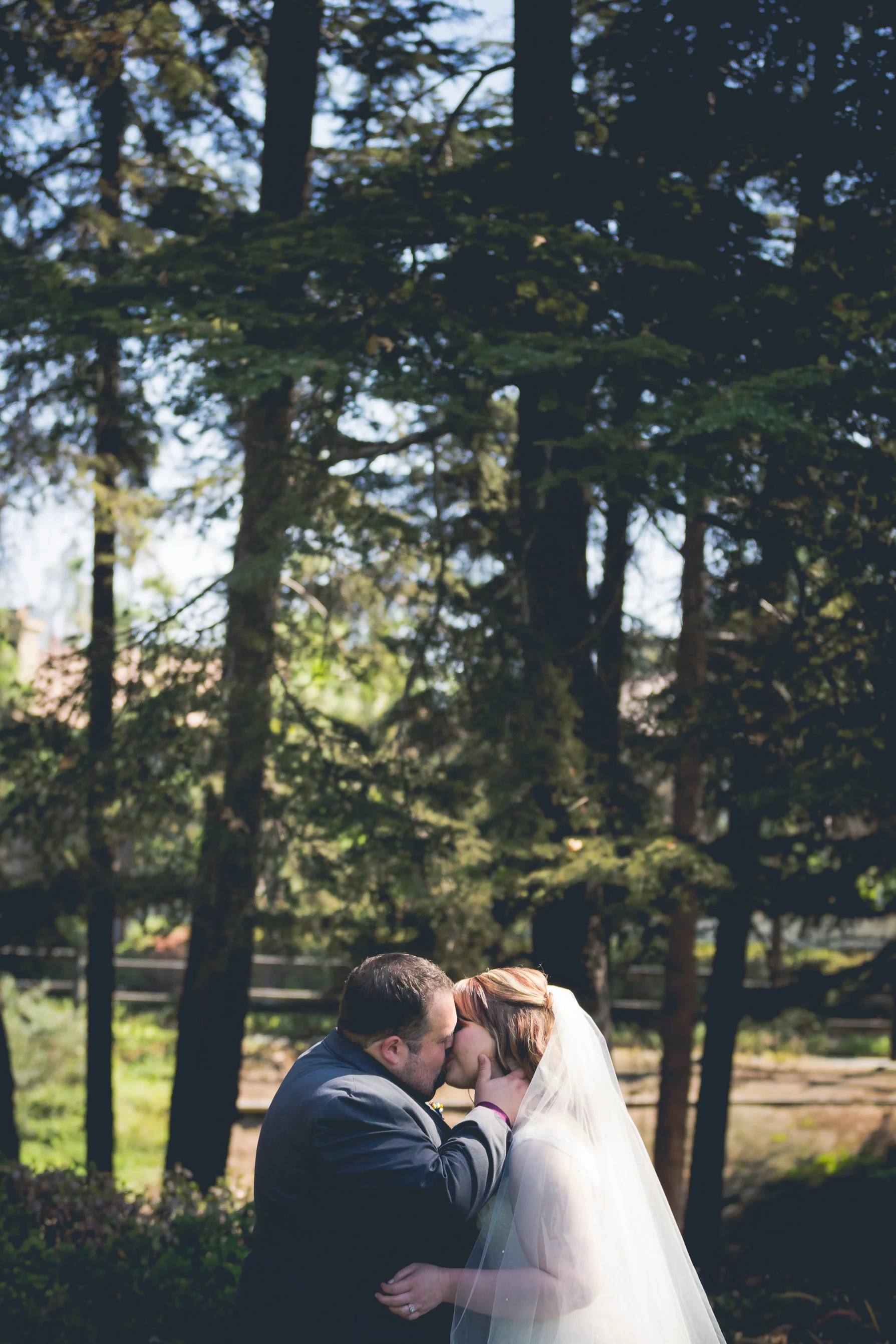 Sam and Tiffany-1882.jpg