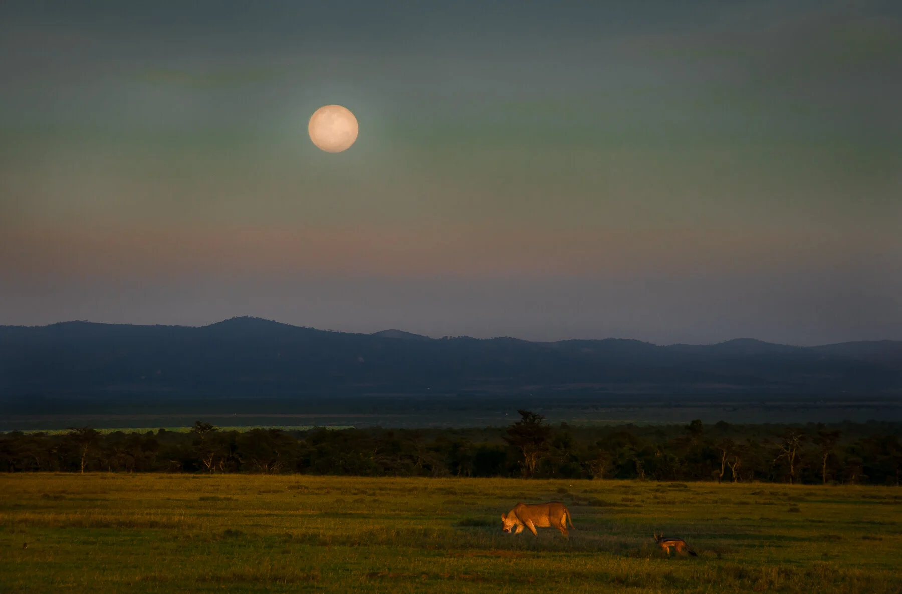Mt Kenya - full file-9350.jpg