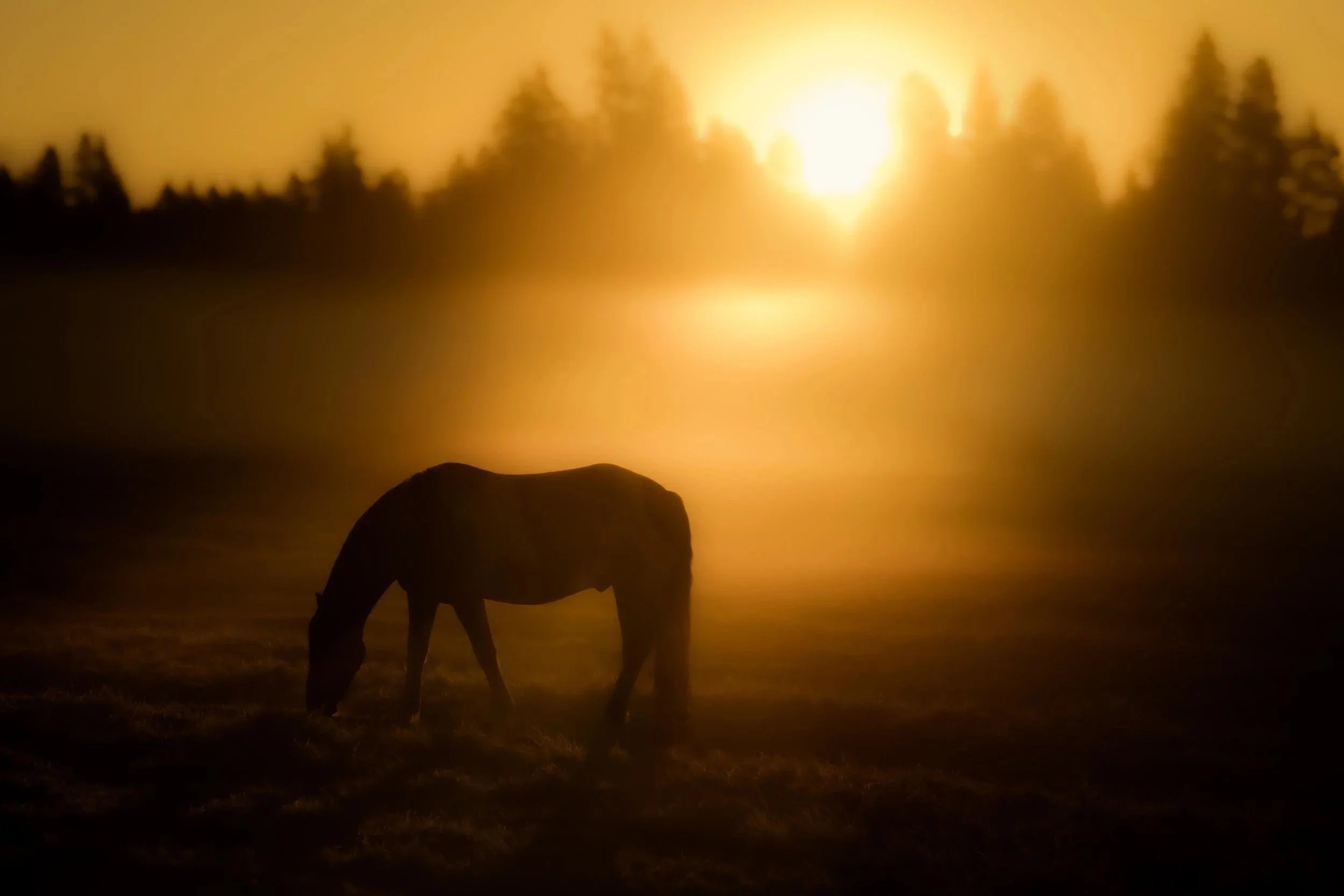 Black Butte Ranch, Sisters, OR