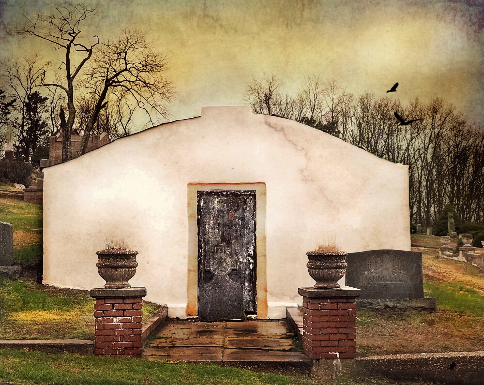 Adobe, Mt. Prospect