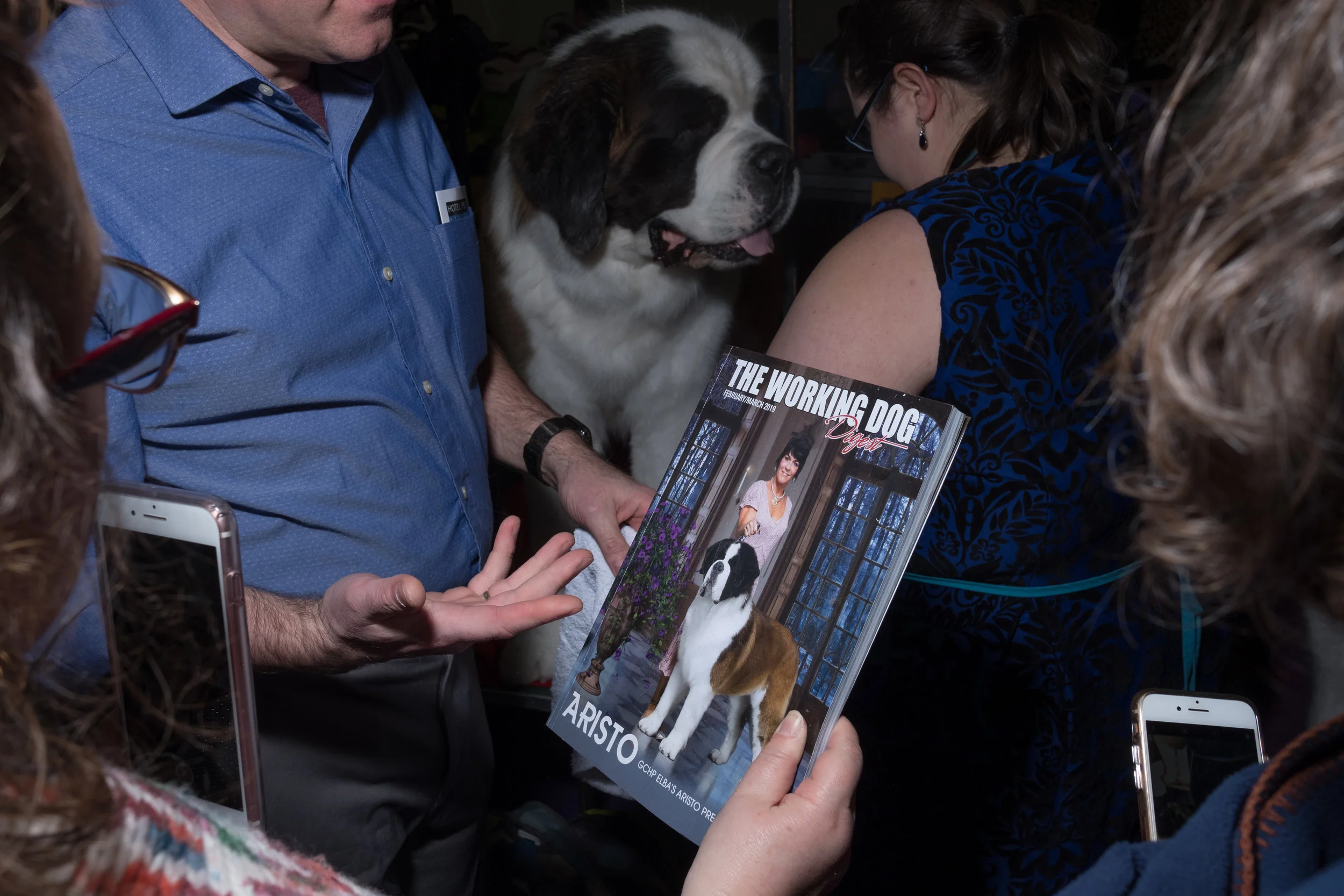 Dog-Show-4528.jpg