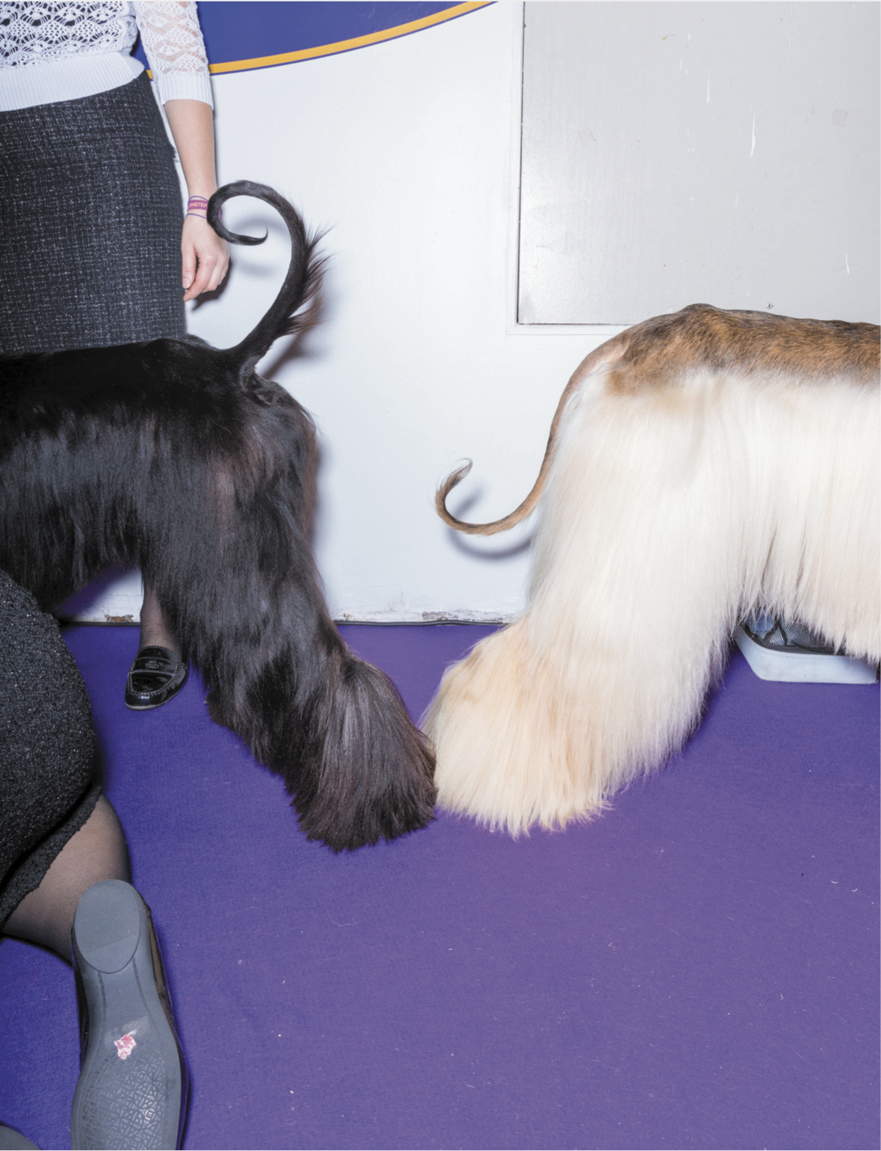 Screen Shot 2020-02-20 at 11.28.08 AM.png