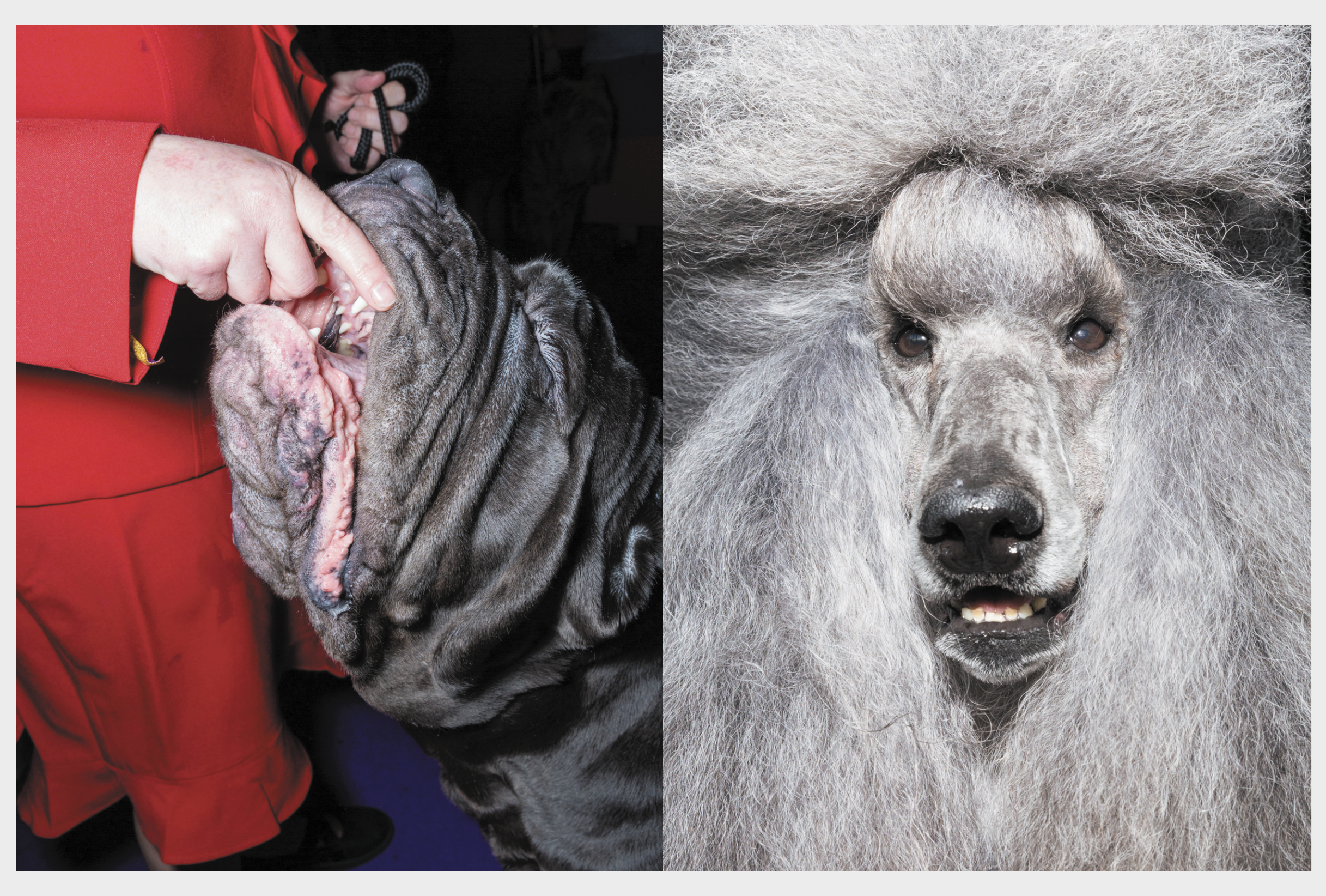 Screen Shot 2020-02-20 at 11.30.28 AM.png