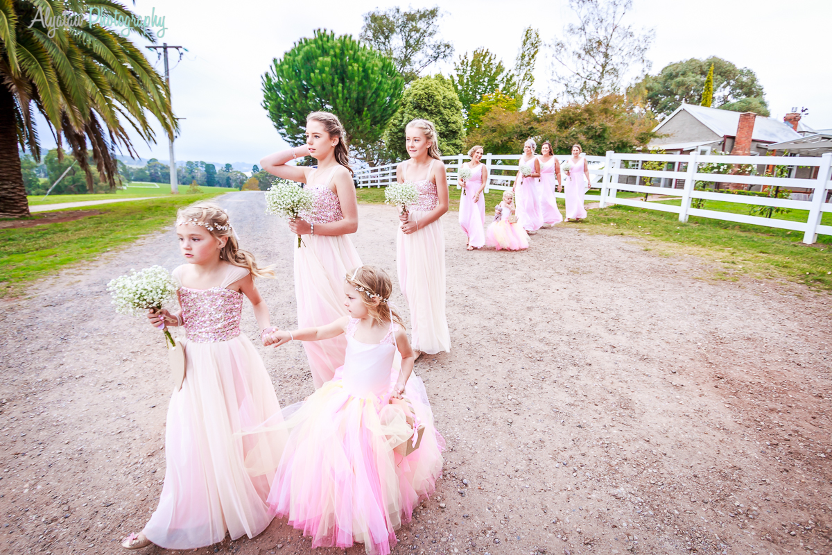 Wedding-9185.jpg