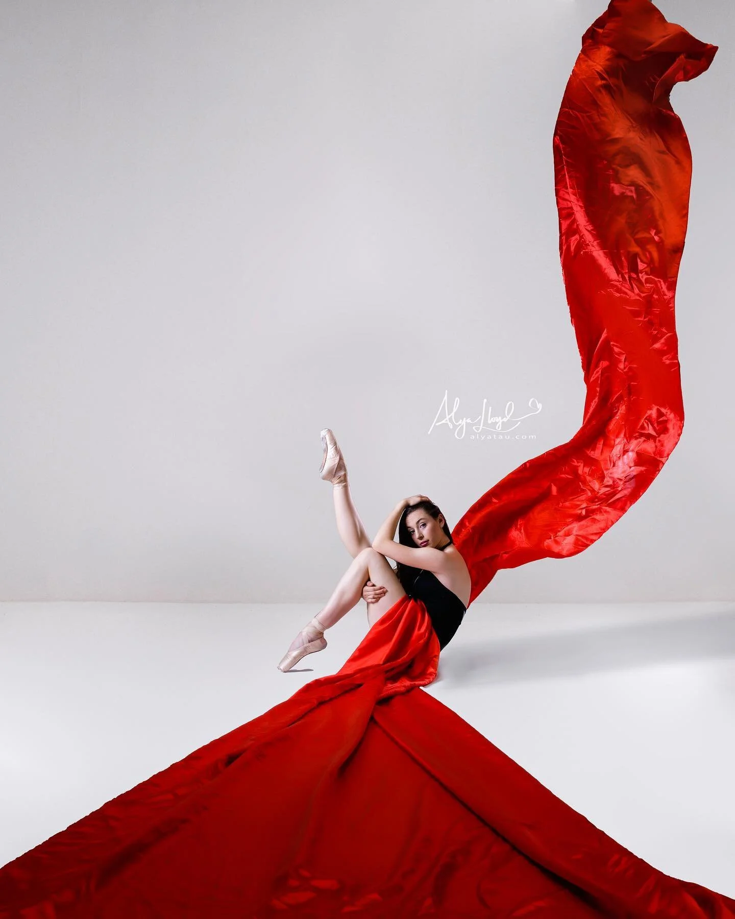 Beautiful Colleen @_colleengrace - She is in perfect harmony with the music and the movement of the fabric, creating a stunning moment of artistry and beauty. 

.
.
.

#balletdancer #beautyinmotion #harmony #dancersofinstagram #portraitphotographer

