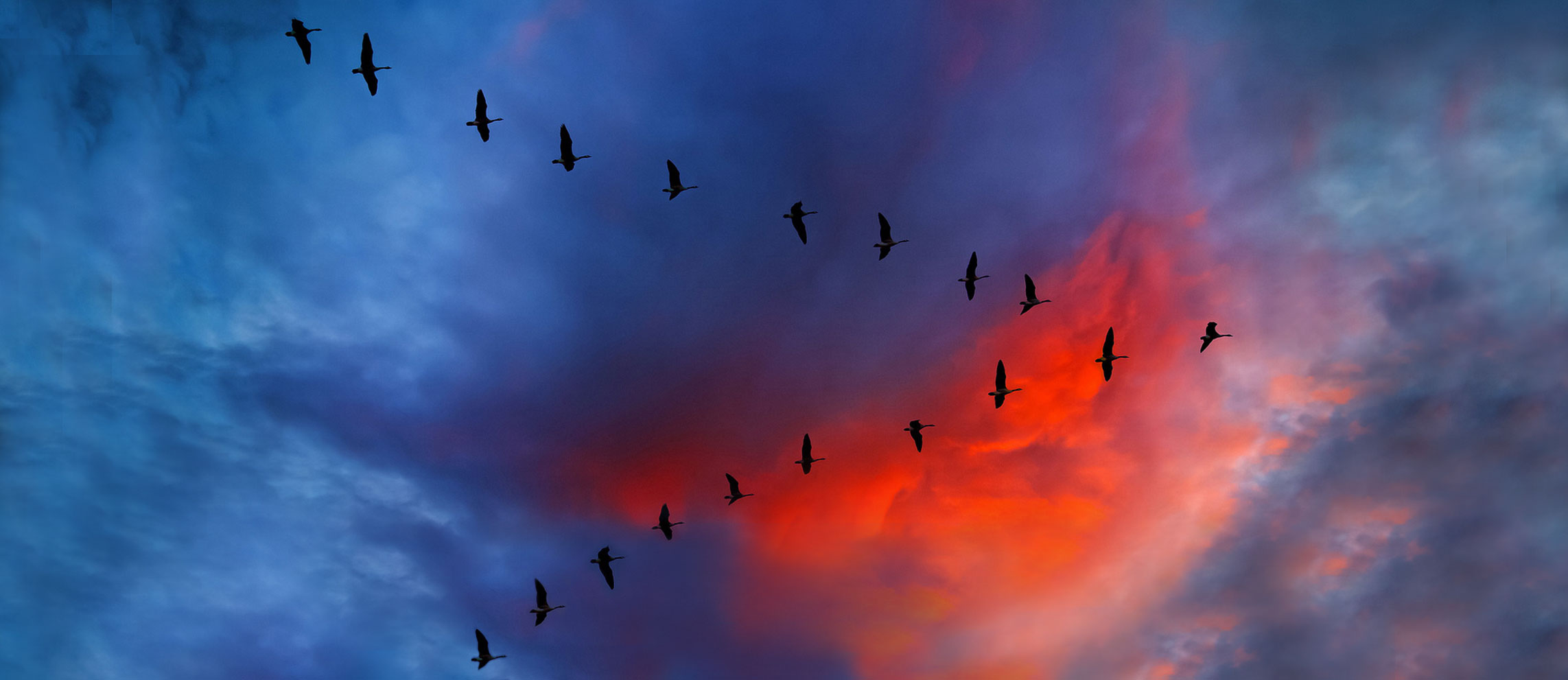 flying-v-wide-2.jpg