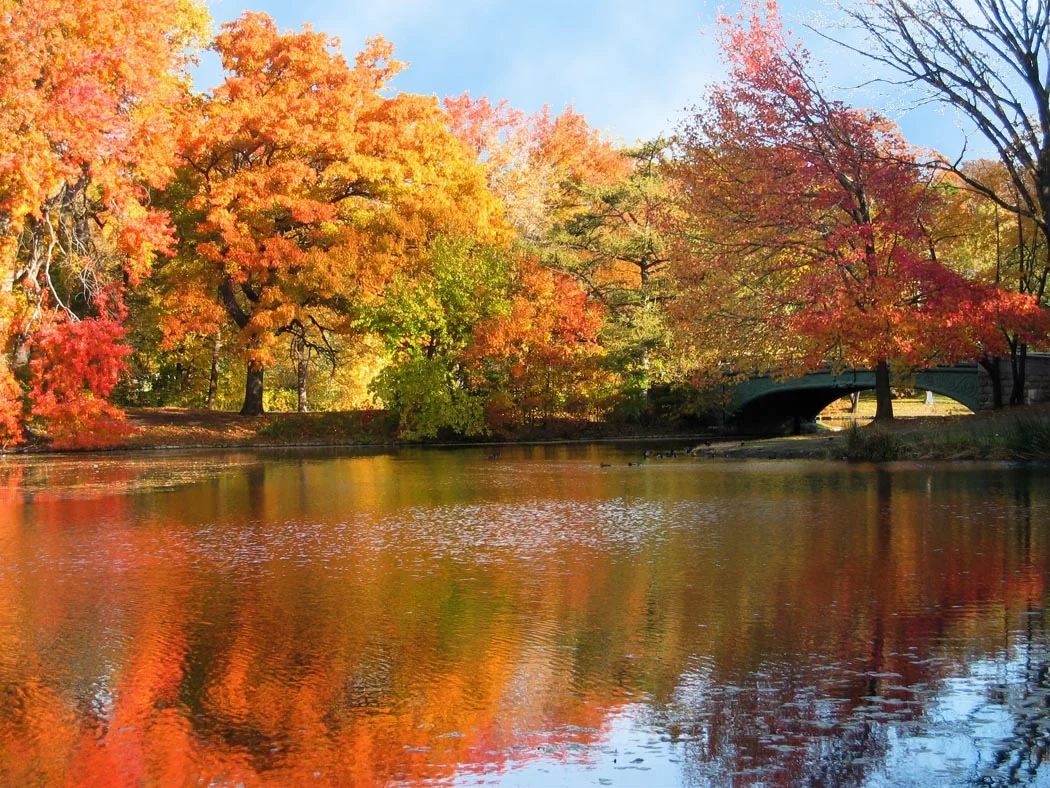 prospect-park.jpg