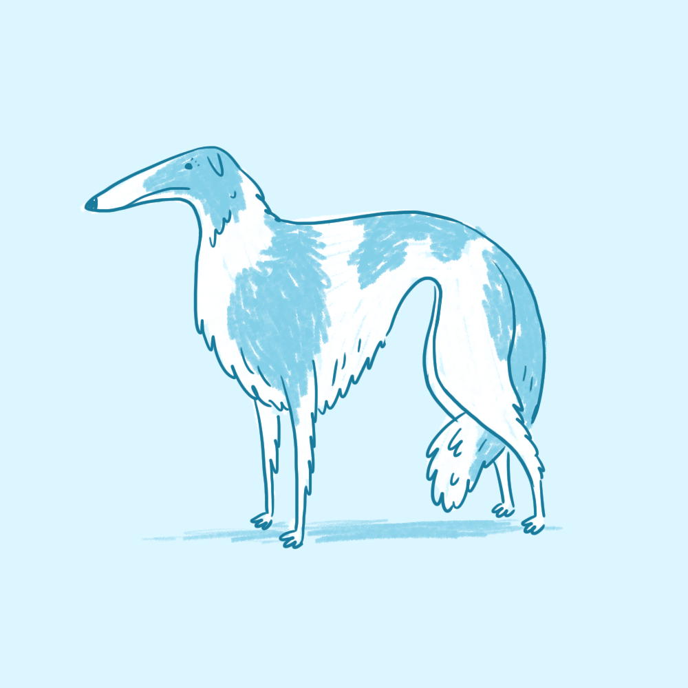 borzoi.png