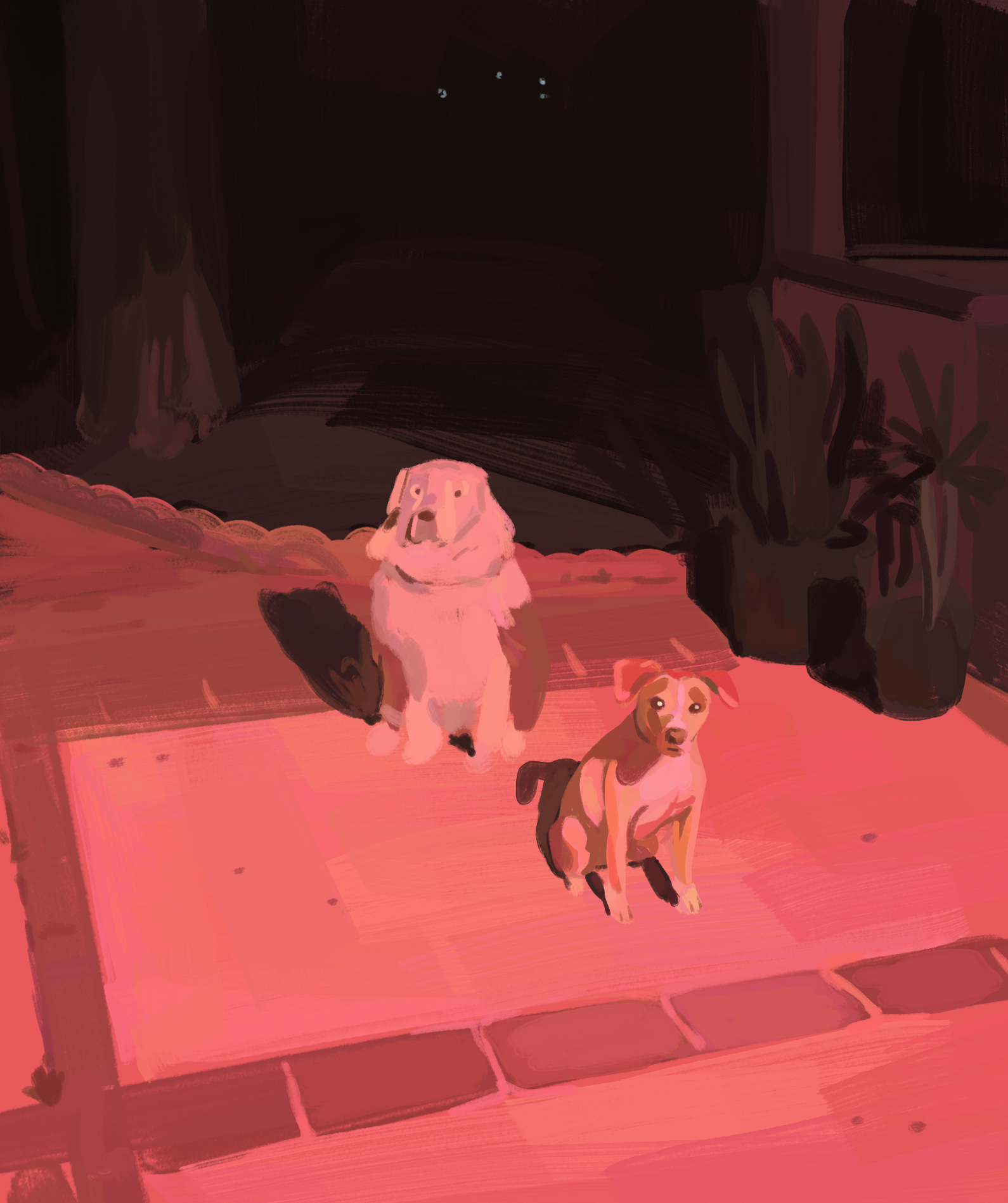 dorgs.png