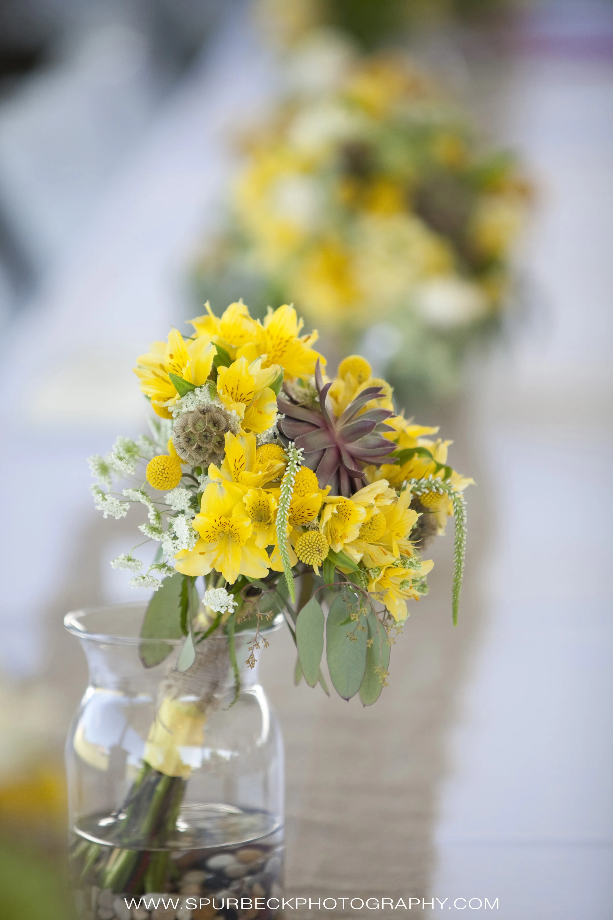 flowers015.jpg
