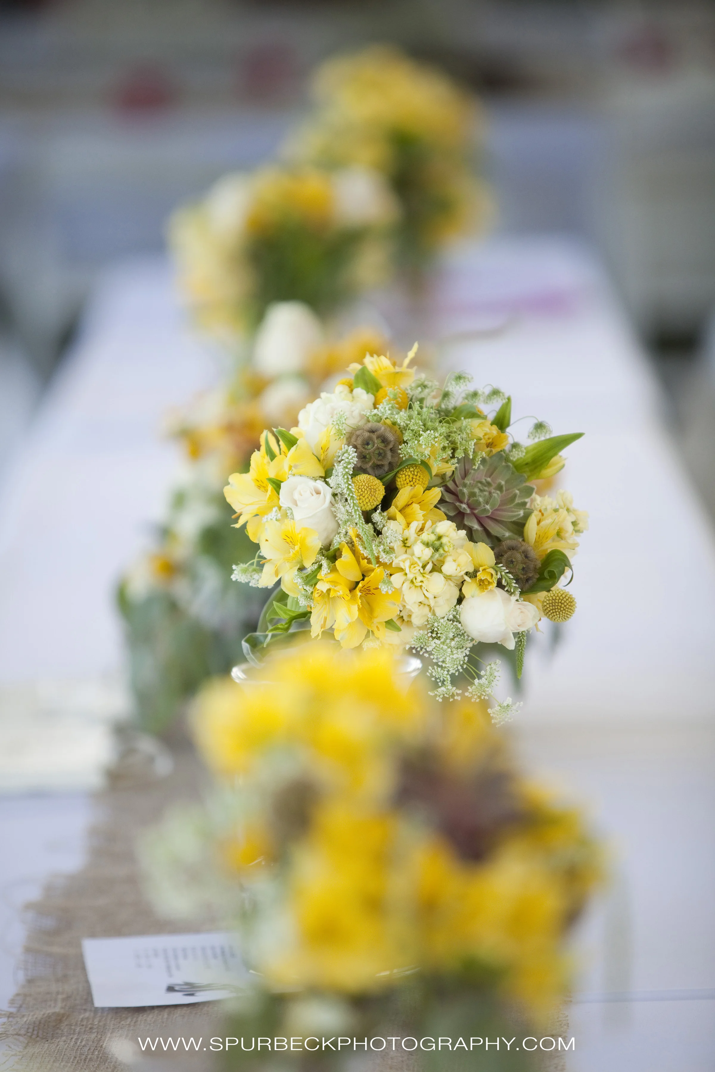 flowers016.jpg