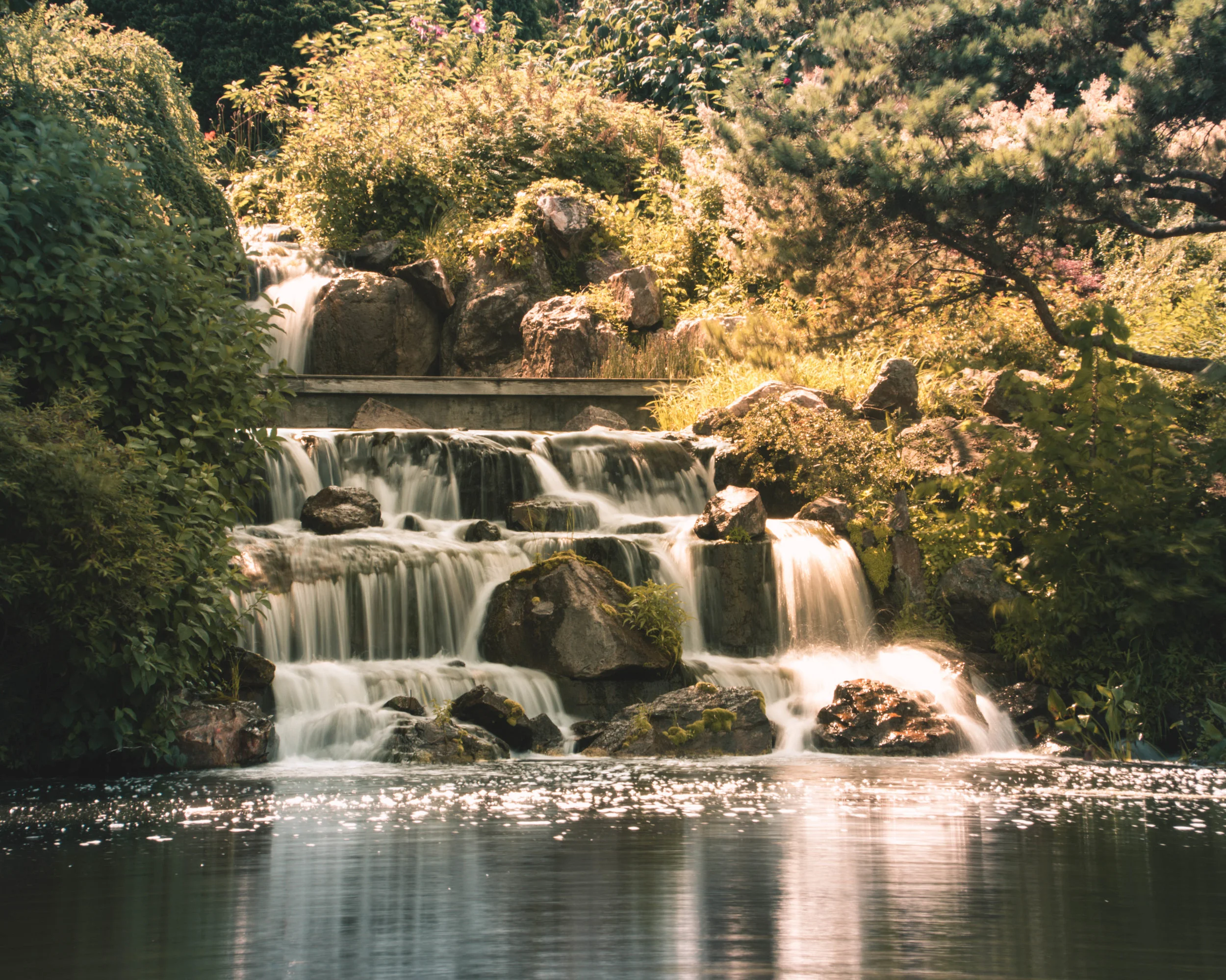 Water fall Chicago Botanical Gardens