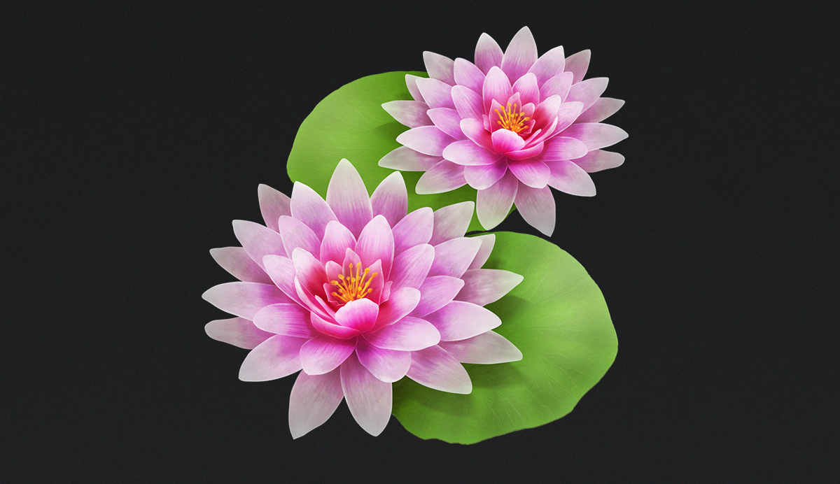 Rusic's lotus flower.