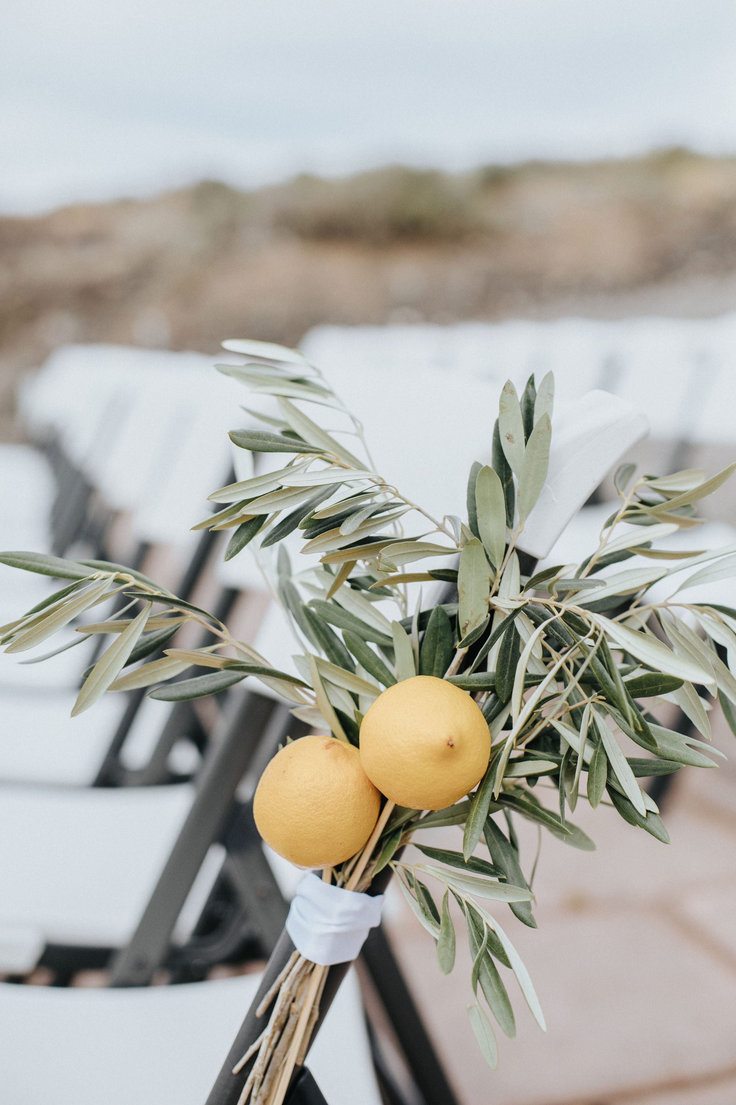 Sublime Stems | Cave B Inn | Eastern Washington | Poppi Photography