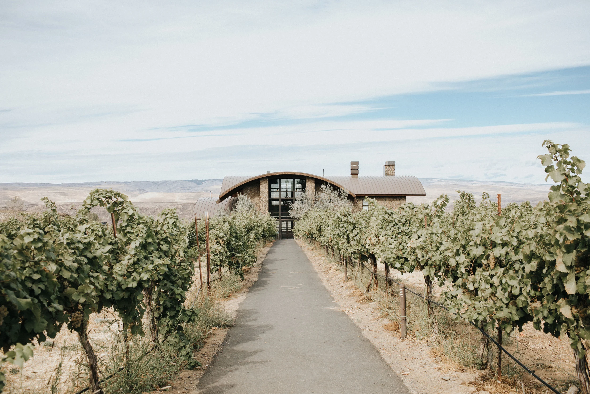 Sublime Stems | Cave B Inn | Eastern Washington | Poppi Photography